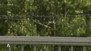 Ein Zaun mit Stacheldraht