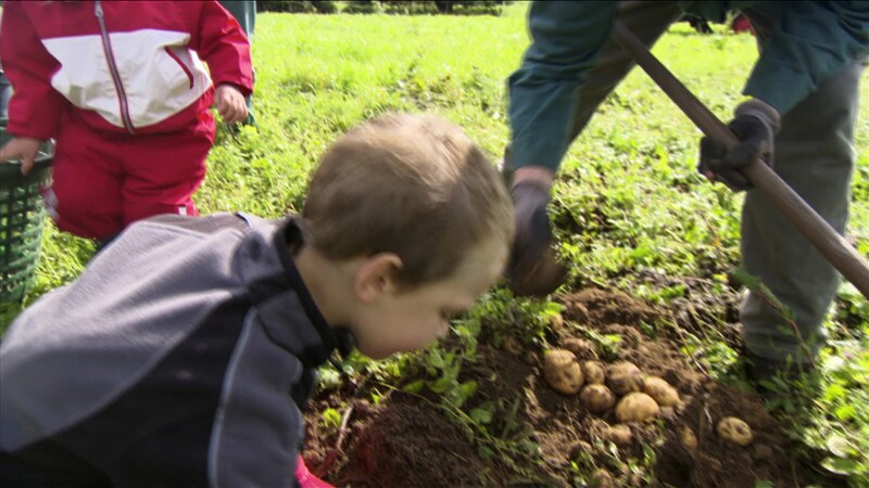 Kleine Erntehelfer