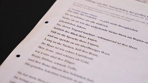 Übersetzung der Liebeslieder aus dem alten Ägypten. Sie sind tausende Jahre alt, doch ihre Themen bleiben zeitlos: Sehnsucht, Begehren und sogar pikante Andeutungen.