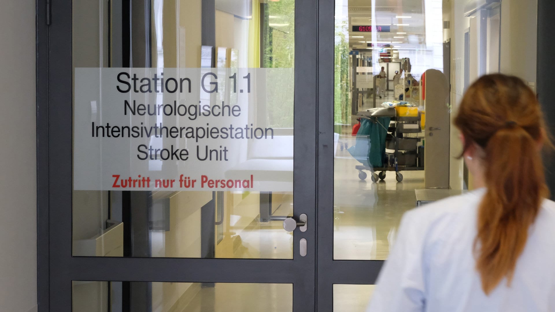 FAQ Schlaganfall: Fallzahlen, Symptome, Versorgung, Vorbeugung