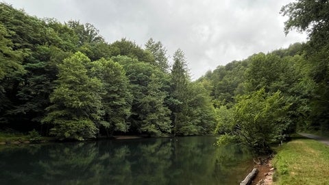 Der Waschtalweiher in Hinterweidenthal im Kreis Südwestpfalz im Juli im Sommer.