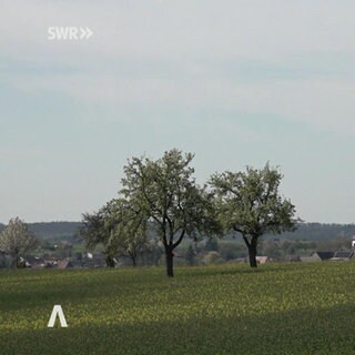 Rheinland-Pfalz Wetter vom 9.4.2025