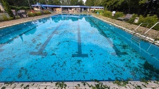 waldschwimmbad-steinfeld
