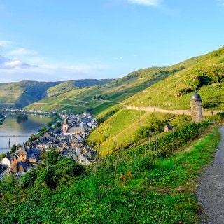 Der geplante Panorama-Höhenradweg Mosel bietet ein völlig neues Rad-Erlebnis mit spektakulären Ausblicken über die Mosel - wie hier bei Zell.