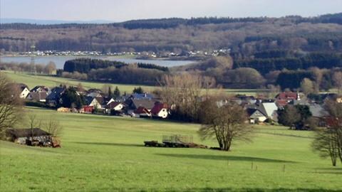 Rehe - Totale