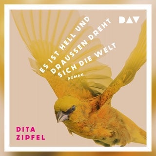 Hörbuch: Lisa Hrdina liest „Es ist hell und draußen dreht sich die Welt“ von Dita Zipfel