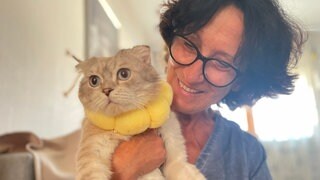 Katzenretterin Heidrun Mahl aus Hambrücken kümmert sich um streunende Kätzchen.