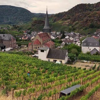 Mayschoß in Rheinland-Pfalz