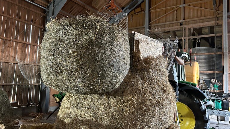 Strohskulpturen Wettbewerb Höchenschwand