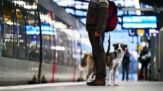 Ein Mann mit Hund steht vor einer Regionalbahn. (Archivbild)