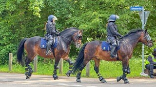 Berittene Polizisten beim Oberligaspiel des KSC II gegen den SSV Reutlingen. Nach Ausschreitungen werden 36 Personen festgenommen. 