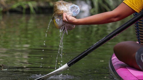 Mensch fischt Plastiktüte aus dem Wasser