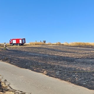 Ein Feld bei Niederkirchen hatte am Sonntag Feuer gefangen. Zwischenzeitlich erhöhte die Feuerwehr die Alarmstufe auf 3.
