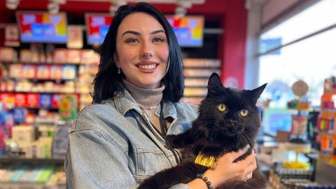 Kater Aslan fühlt sich in einer Tankstelle in Durmersheim wie zu Hause.