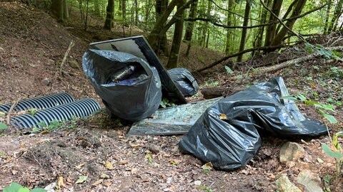 Verschmutzung im Trierer Wald