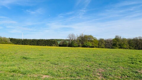 Auf dieser Fläche in Sefferweich in der Eifel soll eine große Photovoltaik-Anlage entstehen.