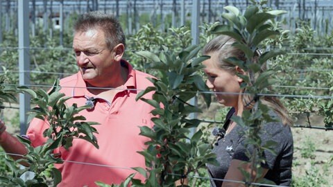 Hubert und Sina Bernhard stehen unter dem Dach ihrer Agri-PV-Anlage in Kressbronn