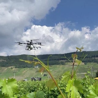 Eine Drohne in den Weinbergen
