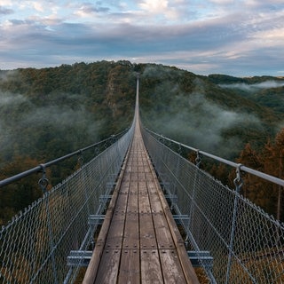 Die Geierlay Brücke im Hunsrück im Herbst