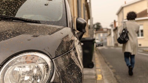 Saharastaub auf einem schwarzen Auto. Saharastaub-Ereignisse sorgen zwar für dreckige Autos, sind für Wissenschaft und Forschung jedoch sehr wichtig.