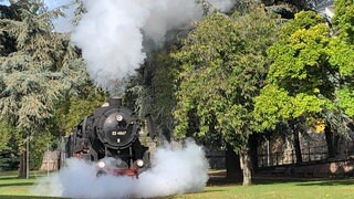 Langsam dampft der Sonderzug mit Dampflok durch die Grünanlagen Richtung Osthafen. 