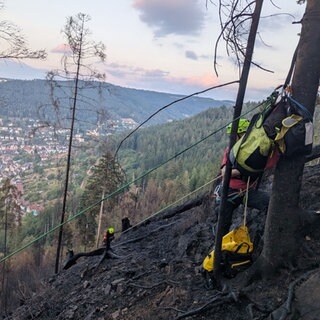 Einsatzkräfte der Feuerwehr werden am Steilhang nach dem Waldbrand in Schramberg abgesichert. 