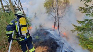 Feuerwehr löscht ein Brand im Wald. Ziegen könnten die Ausbreitung von Waldbränden verhindern. Beim Waldbrand-Forum in Rottenburg gab es einige Ideen zum Schutz vor Waldbränden. 