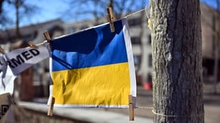 Ukraineflagge mit Wäscheklammern an einem Baum 