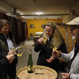 Drei Männer und eine Frau stehen in einem Weinkeller und machen ein Weintasting.