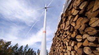 Eine Windkraftanlage steht im Wald (Symbolbild). Der Gemeinderat Horb hat dem Bürgerentscheid zur Windkraft auf kommunalen Waldflächen grünes Licht gegeben. 
