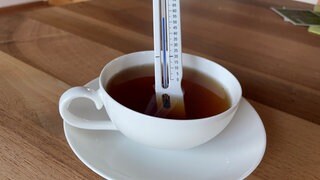 Wer täglich mehr als 0,7 Liter heißen Tee mit einer Temperatur von mehr als 60°C trinkt, hat ein fast doppelt so großes Risiko, an Speiseröhrenkrebs zu erkranken im Vergleich zum Rest der Bevölkerung. Zu diesem Ergebnis kam eine Studie aus dem Iran. Wenn man aber die Studie genauer liest, stellt sich der Zusammenhang nicht ganz so dramatisch dar.