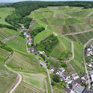 Blick von oben auf Häuser und Hänge mit Weinreben.