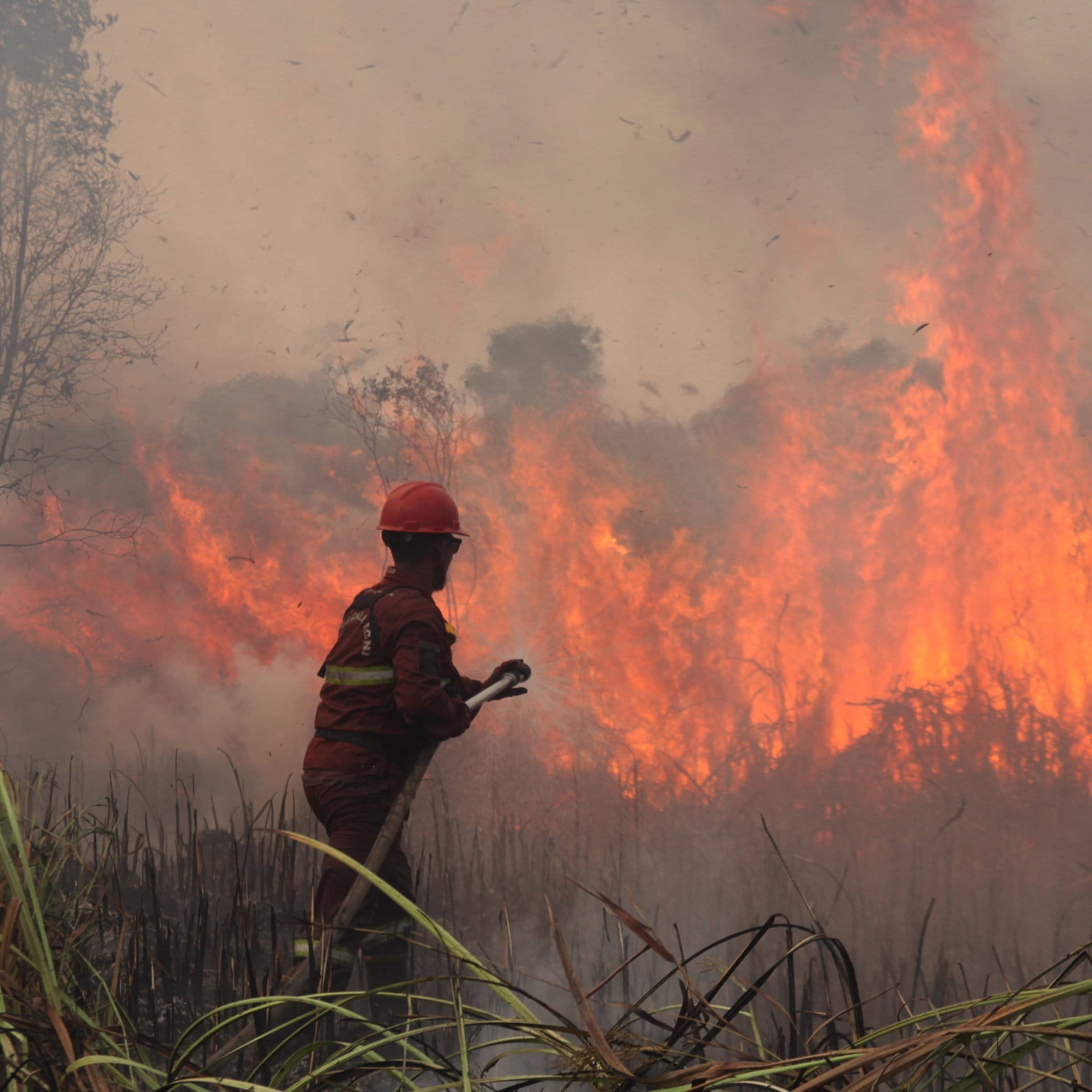 Indonesien: Trotz wochenlanger Löscharbeiten – verheerende Waldbrände lodern weiter