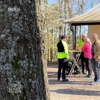 Pfälzerwald-Verein im Aufschwung