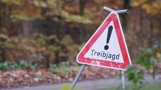Wegen Treibjagd gesperrte Straße