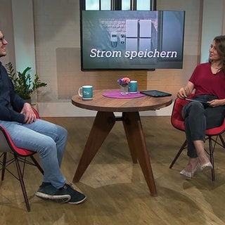 Gespräch über Strom speichern und Geld sparen