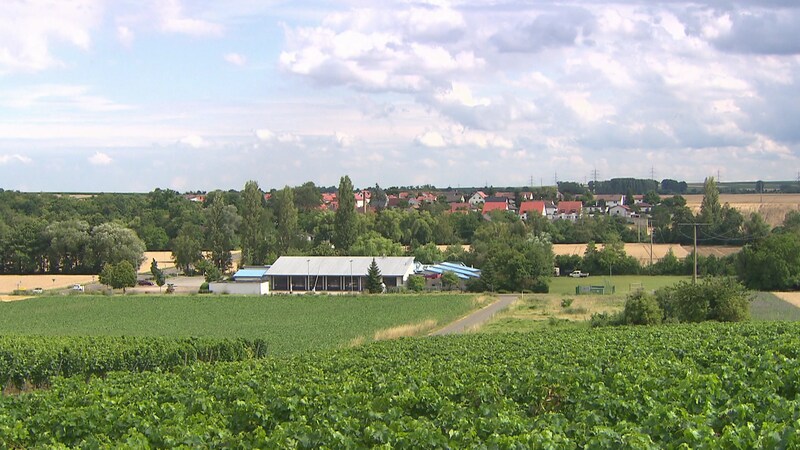 Hierzuland Colgenstein-Heidesheim Ortsansicht
