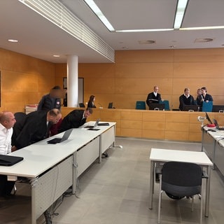 Beim Prozess um die tödliche Messerattacke am Fackelbrunnen in Kaiserslautern hat eine Rechtsmedizinerin eine Haarprobe des Angeklagten analysiert.