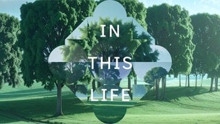 In this Life