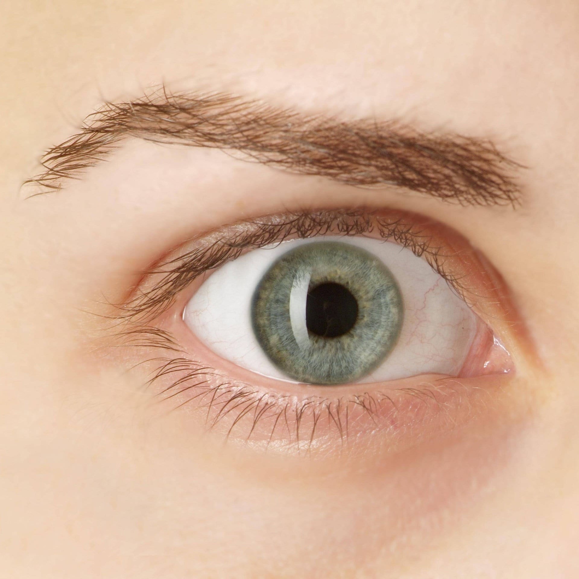 Warum zucken wir manchmal mit dem Auge? episode artwork