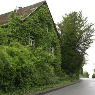 Die Hauptstraße in Forst