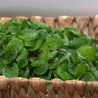 Feldsalat