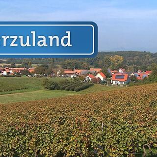Blick auf Hergersweiler