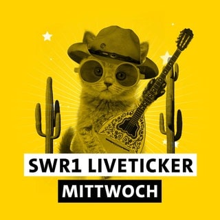 SWR1 Hitparaden-Kätzchen mit Cowboy-Hut, Sonnebrille, Kakteen, Gitarre und dem Schriftzug "SWR1 Liveticker Mittwoch"