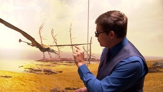 Der Flugsaurier Campylognathoides des Naturkundemuseums Stuttgart frisst Tintenfische statt Fische.