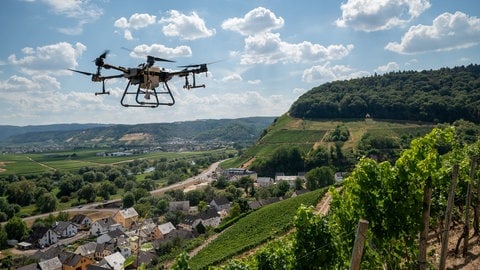 Pflanzenschutzmittel für die Weinreben aus der Luft. Drohnen sollen die Mosel-Winzer in den Steillagen unterstützen.
