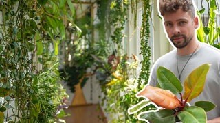 Marcel lebt in seiner Altbauwohnung in Mannheim in einem Urban Jungle mit mehr als 150 Pflanzen.