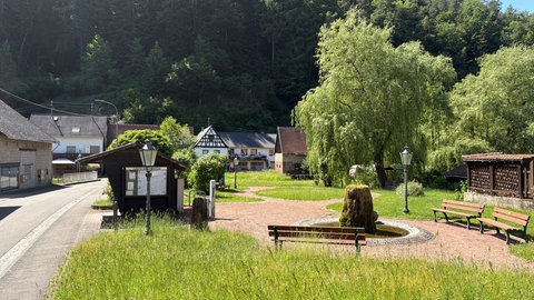 Hirschthal liegt im südlichen Pfälzerwald, kurz vor der französischen Grenze.