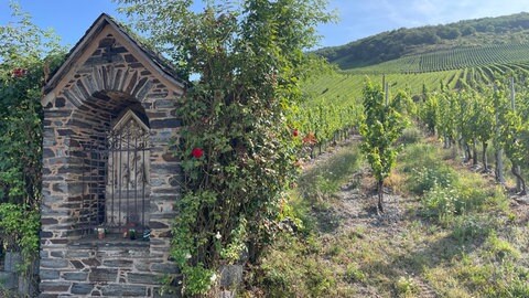 Die Weinlage "Badstube" liegt zwischen dem Stadtteil Bernkastel und dem Dorf Graach. 