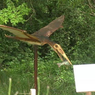 Eine Skulptur des ältesten Flugsauriers